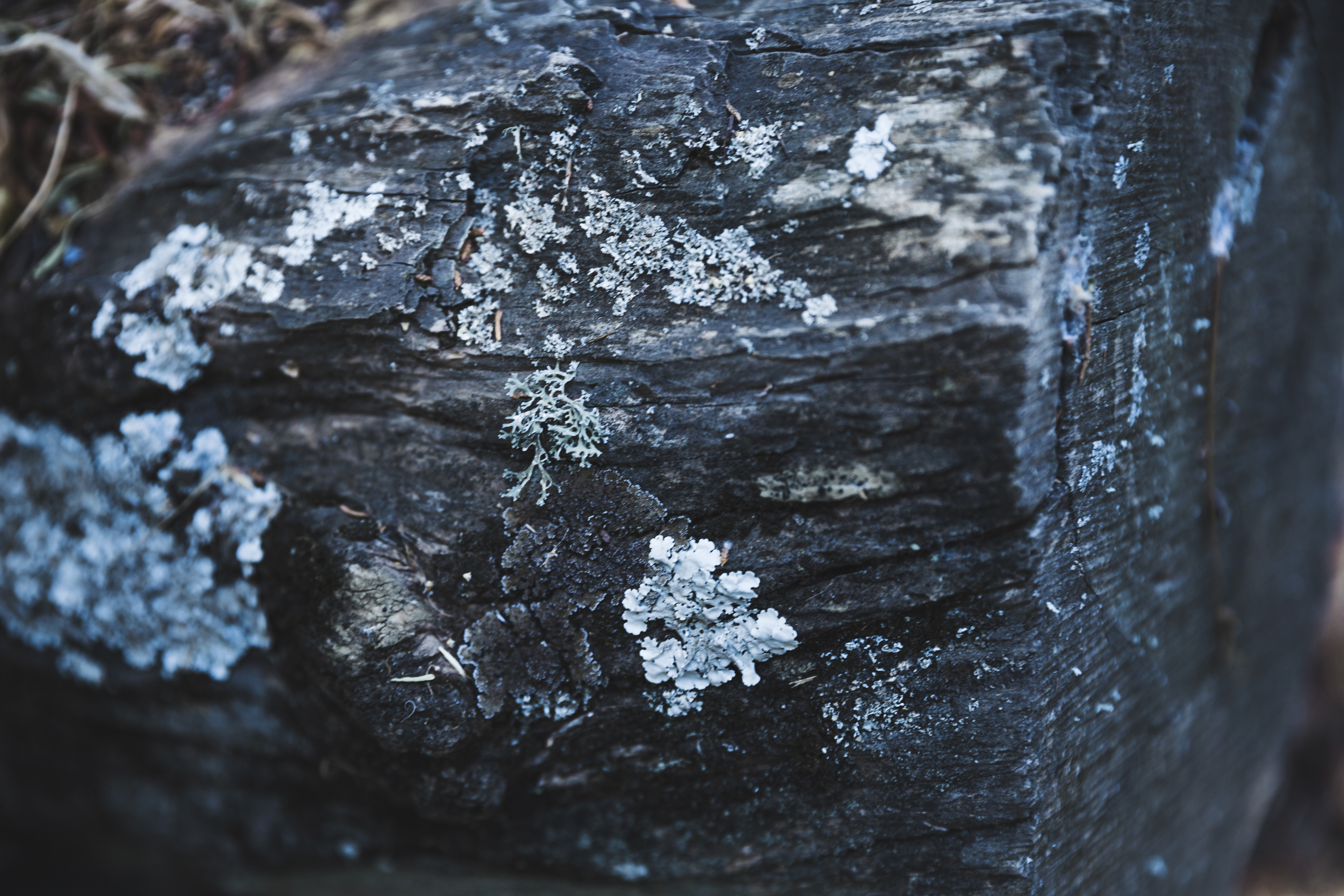 Platreef platinum mine